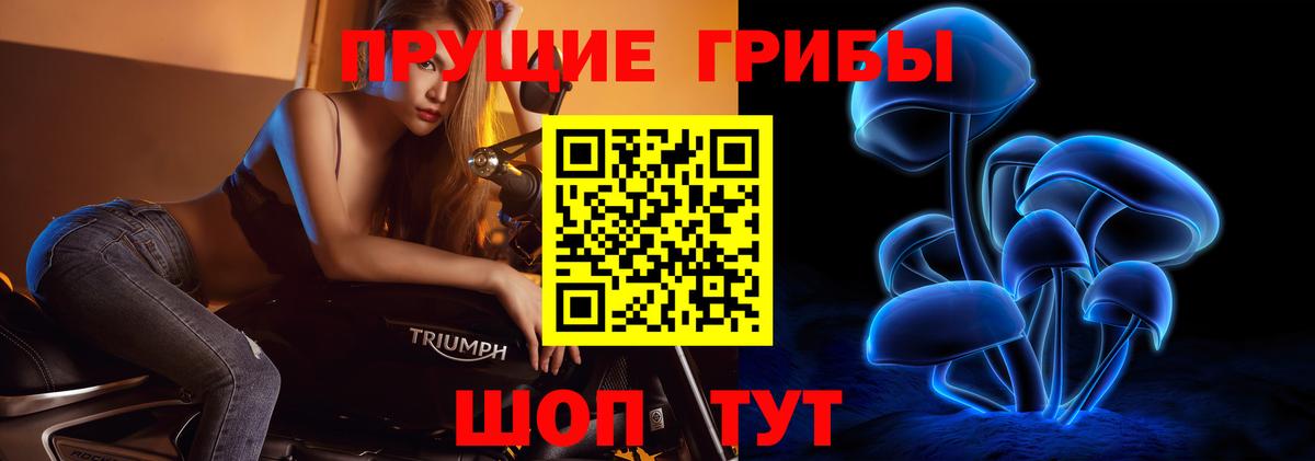 Киселёвск  Галлюциногенные грибы Psilocybine cubensis  Галлюциногенные грибы мицелий  Вход с VPN 